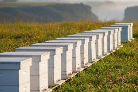 Generated Image October 28, 2025 - 4_49PM